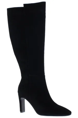 Di lauro Laars 108612