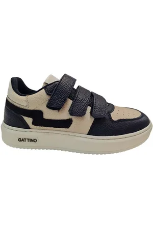 Gattino G1016