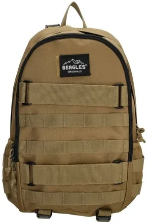 Beagles 2984