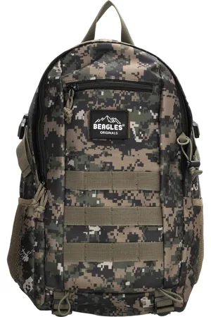 Beagles 2982