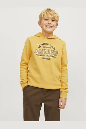 JACK & JONES Jjelogo sweat hood 2 col 24/25 noos