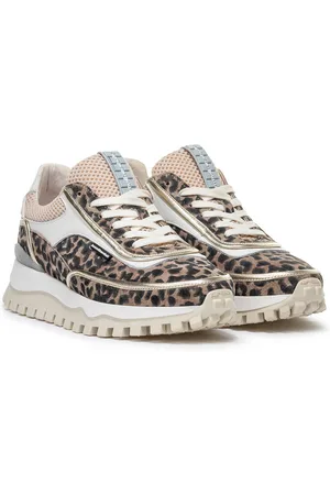 Floris van Bommel Sneakers sfw-10131 grommi