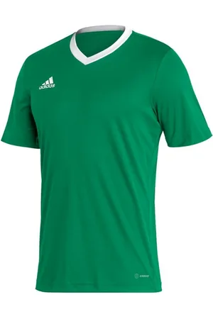 adidas Heren entrada 22 jersey