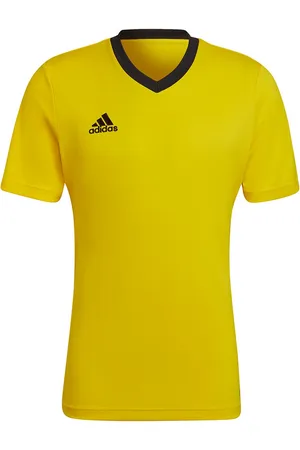 adidas Heren entrada 22 jersey