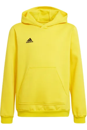 adidas Kinderen/kinderen entrada 22 hoodie