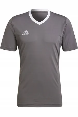 adidas Heren entrada 22 jersey