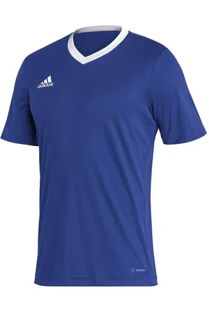 adidas Heren entrada 22 jersey