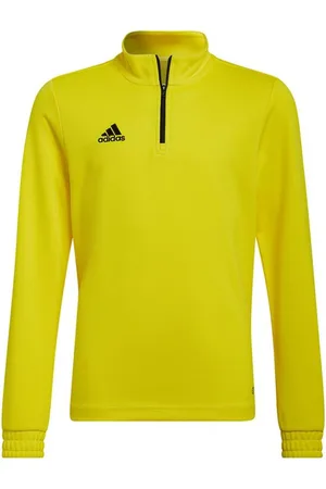 adidas Kinderen/kinderen entrada 22 trainings sweatshirt