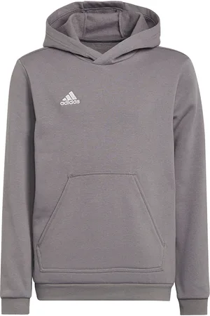 adidas Kinderen/kinderen entrada 22 hoodie
