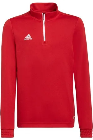 adidas Kinder/kids entrada 22 trainings top