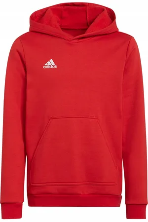 adidas Kinderen/kinderen entrada 22 hoodie