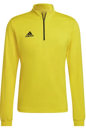 adidas Heren entrada 22 trainings sweatshirt