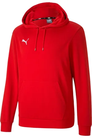 PUMA Heren teamgoal 23 hoodie