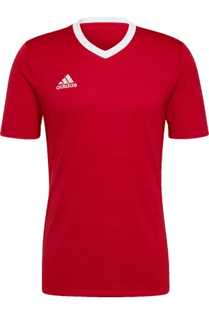 adidas Heren entrada 22 t-shirt
