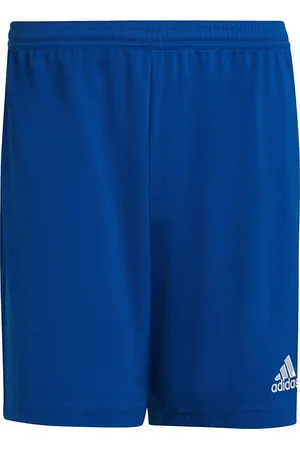 adidas Heren entrada 22 korte broek