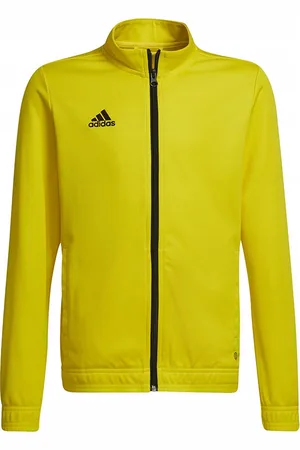 adidas Kinder/kinder entrada 22 track jacket