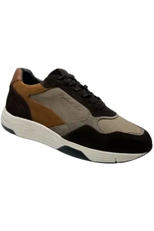 Cycleur de luxe Anchor Sneakers