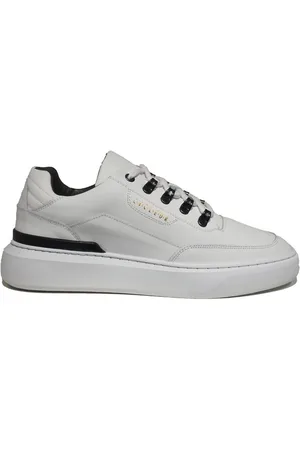 Cycleur de luxe Limit Sneakers