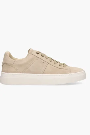 Agucino Ted Taupe