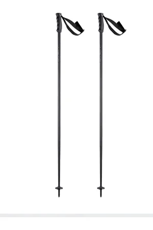 Head Ski stokken