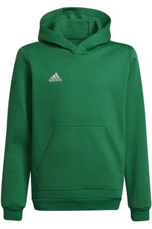 adidas Kinderen/kinderen entrada 22 hoodie
