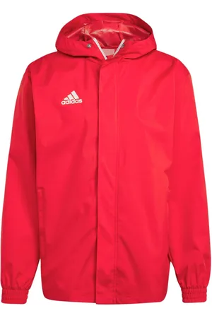 adidas Heren entrada 22 all weather jas