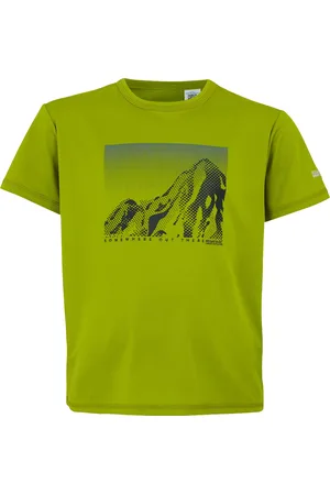 Regatta Kinderen/kinderen alvarado ix berg t-shirt